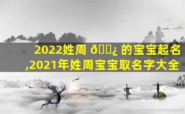 2022姓周 🌿 的宝宝起名,2021年姓周宝宝取名字大全